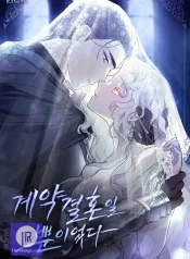 It Was Just a Contract Marriage