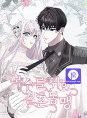 Marriage Alliance for Revenge