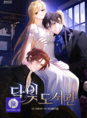 MOONLIGHT LIBRARY